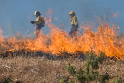 greene county vol fire depts